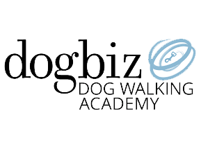 dogbiz-1